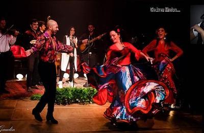 Bal Tsigane  Clichy Sous Bois