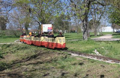 Balade  bord d'un petit train  vapeur !  Lespinasse