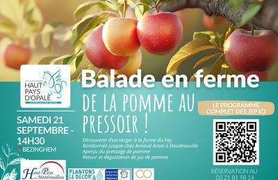 Balade en ferme, de la pomme au pressoir !  Bezinghem