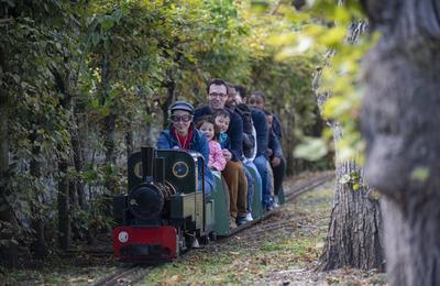 Balade en jardin en train  vapeur  Rambouillet