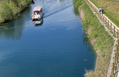 Balade guide en bateau  Saint-Jean-de-Losne