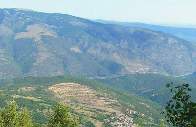 Balade-patrimoine :Le peuplement de pins de Salzmann du Conflent  Escaro