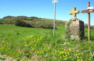 Balade :  Paysages et gologie au fusain  Hounoux