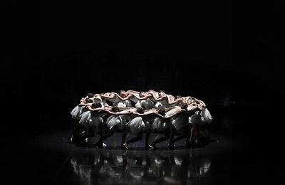 Ballet avec Orchestre Le Lac des Cygnes  Reims