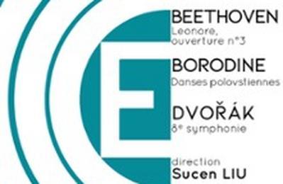 Beethoven, Borodine, Dvorak  Reims