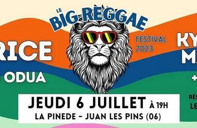 Big Reggae Festival 2023