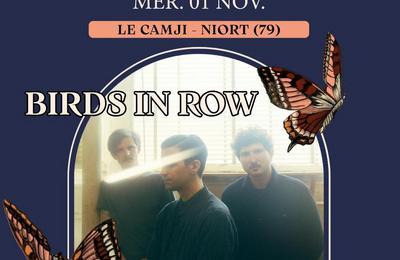 Birds In Row   The Guru Guru  Niort