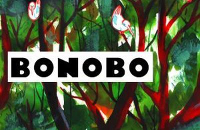 Bonobo  Mezidon Canon