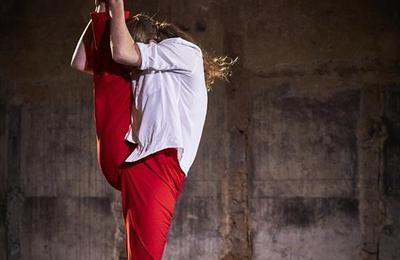Brigitte Seth & Roser Montllo Guberna : Salti  Saint Denis