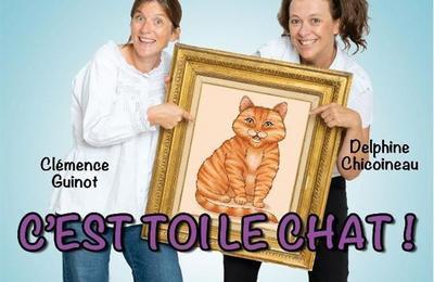 C'est toi le chat !  Les Sables d'Olonne