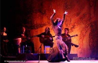 Cabaret Flamenco à Quincy Sous Senart