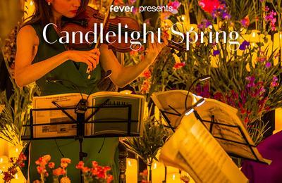 Candlelight Spring : Hommage  Coldplay  La Rochelle