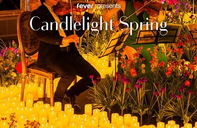 Candlelight Spring : Hommage  Queen  Colmar