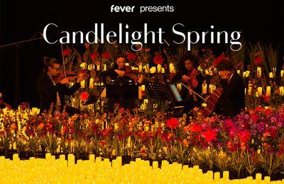 Candlelight Spring : Hommage  Queen  Bordeaux