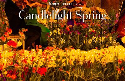 Candlelight Spring : Hommage  U2  Lyon