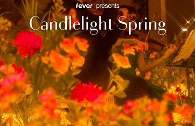 Candlelight Spring : Musiques d'Anims  Bordeaux