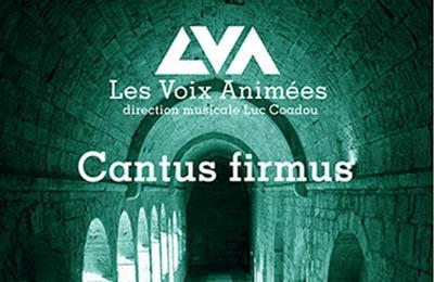 Cantus Firmus - Dans le cadre du 13e cycle Entre pierres et mer  Le Thoronet