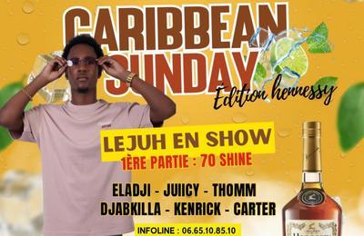 Caribbean Sunday LejuH en Show  Vitry sur Seine