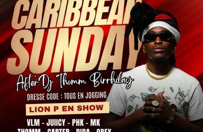 Caribbean Sunday Lion P en Show After Thomm Birthday  Vitry sur Seine