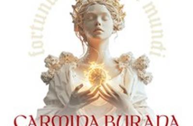 Carmina Burana, L'Ensemble Vocal et Instrumental Divertimento / Choeurs Pleyades  Rognes