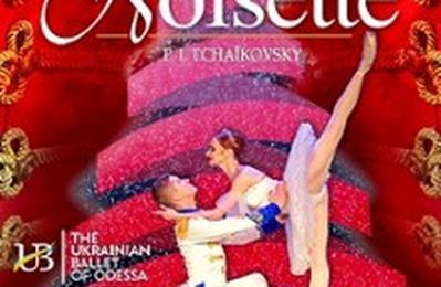 Casse-Noisette, The Ukrainian Ballet Of Odessa  Hyeres
