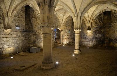 Caves du muse de la Vnerie  Senlis