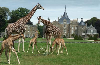 Chteau, jardins et parc zoologique de la Bourbansais  Pleugueneuc