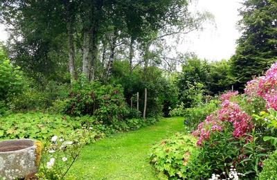 Chemins au jardin d'Arsac  Saint Frejoux