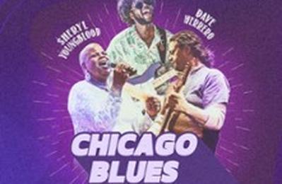 Chicago Blues Festival, Stephen Hull Feat. Dave Herrero & Sheryl Youngblood  Saint Etienne
