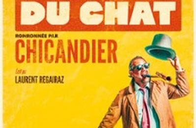 Chicandier La 9eme Vie Du Chat  Seyssinet Pariset