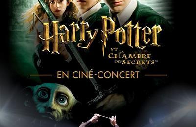 Ciné-Concert : Harry Potter Et La Chambre Des Secrets à Dijon