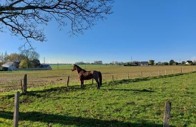 Circuit : randonne des Marettes au belvdre  Gainneville