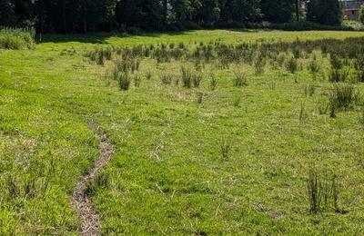 Circuit : sur la trace des moutons  Juvigny les Valles