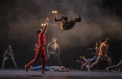 Circus baobab, y !  Arcachon