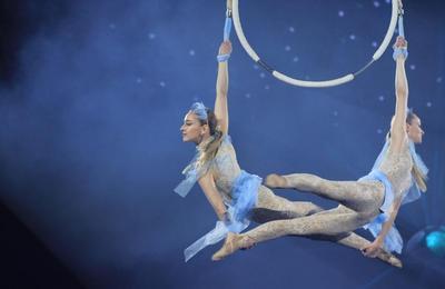 Cirque National d'Ukraine : Miracle de Noel  Saint Brice Sous Foret