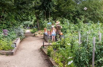 Comprendre la permaculture pour cultiver son jardin  Angers