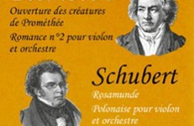 Concert Beethoven, Schubert  Grenoble