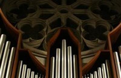 Concert d'orgue  la Basilique Notre-Dame de l'Assomption  Nice