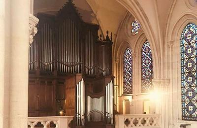 Concert d'orgue et visite exceptionnelle de l'orgue  l'glise St Ignace  Paris 6me