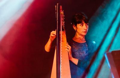 Concert De Harpe Avec Céline Dicharry à Nay