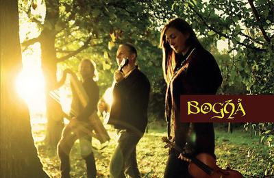 Concert Du Groupe Bogha - Musiques Traditionnelles Celtiques  Dry