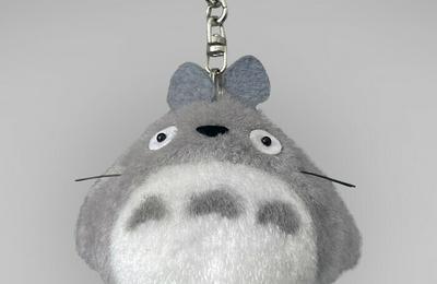 Concert : mon voisin Totoro  Rouen