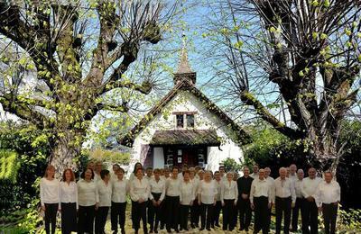 Conférence-concert Au Temple De L'église Réformée à Thonon les Bains