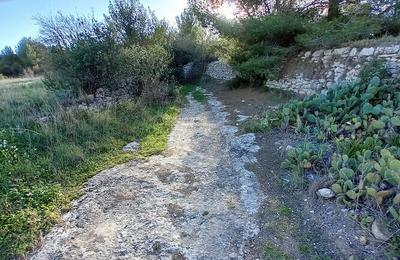 Confrence Du nouveau sur la plus ancienne voie romaine de France  Saint Pons la Calm