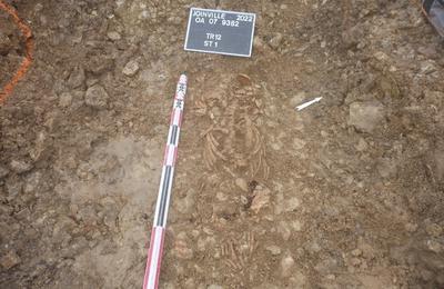 Confrence indite sur les rsultats des fouilles de l'glise Notre-Dame  Joinville