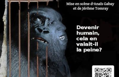 Darwin factory  Avignon