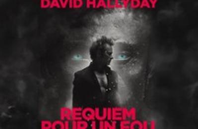 David Hallyday, Requiem pour un Fou  Reims