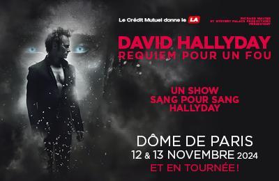 David Hallyday, Requiem pour un fou, La Tourne cent pour cent Hallyday  Paris 15me