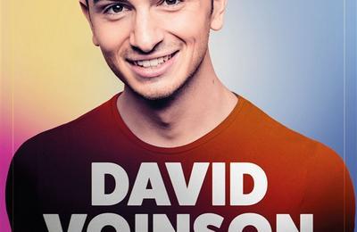 David Voinson  Nimes