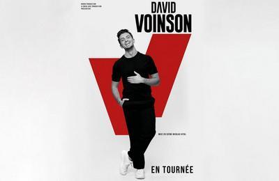 David Voinson, Humour et One (Wo)man Show  Chambery